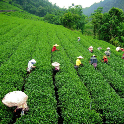 listing-details-carousel